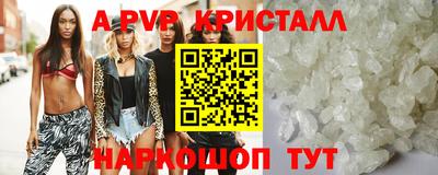тгк Канаш