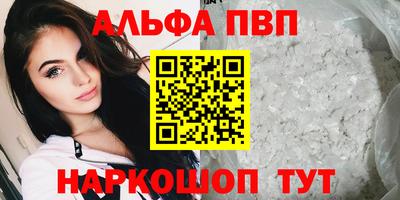 тгк Канаш