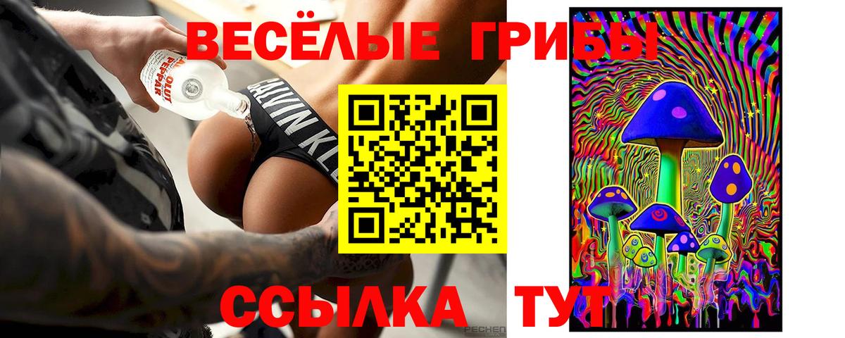 Галлюциногенные грибы мухоморы Краснознаменск