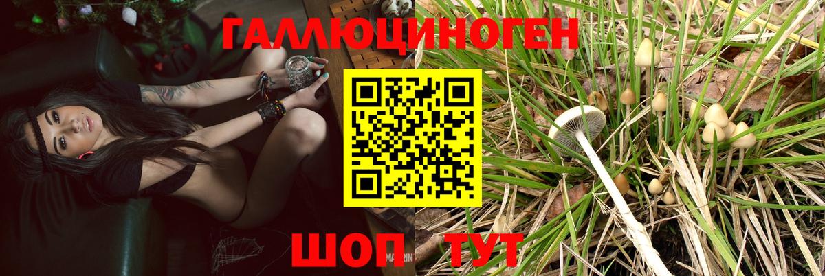 Галлюциногенные грибы Cubensis  Вход с VPN  Краснознаменск  Псилоцибиновые грибы MAGIC MUSHROOMS 